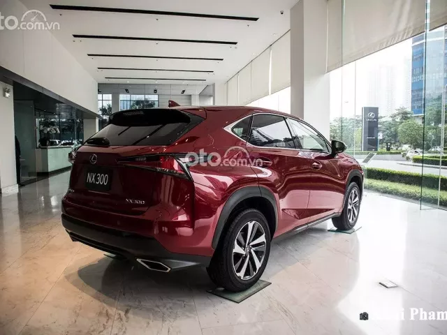 Tổng quan xe Lexus NX300 2020.