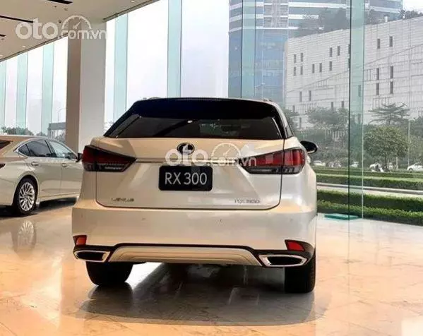 Lexus RX 300 2025 5