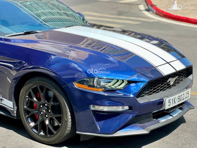 Mua bán Ford Mustang 2019 giá 1 tỉ 839 triệu - 23036497