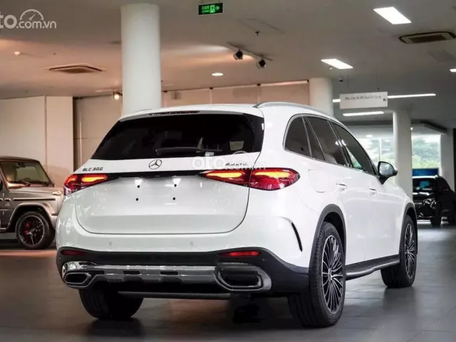 Ảnh số 20