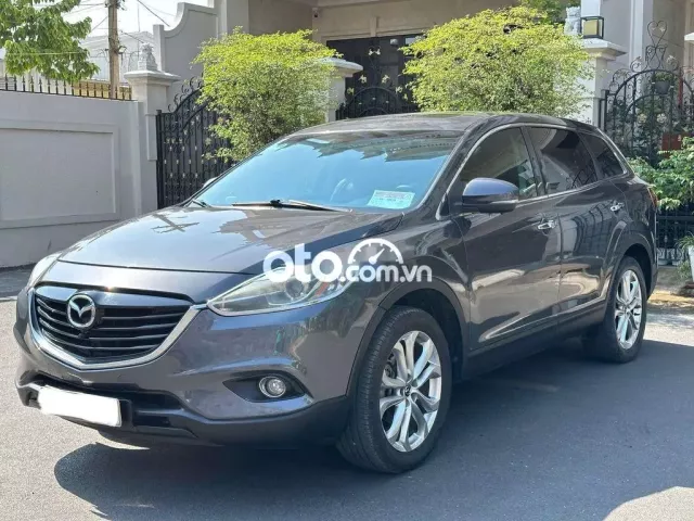 Một chủ lên nhiều option