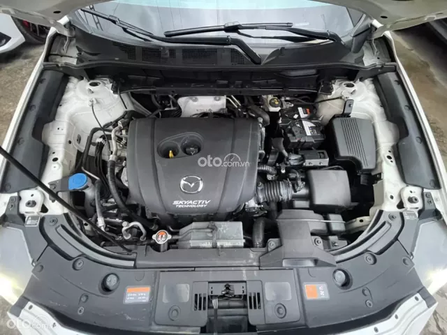Full Option