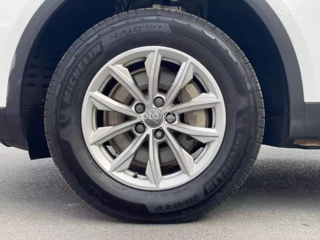 Một chủ từ đầu biển tỉnh