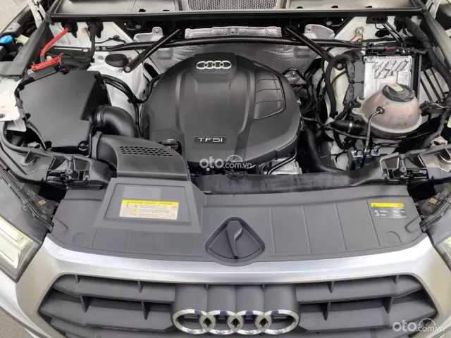 Một chủ từ đầu biển tỉnh