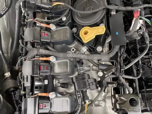 Một chủ từ đầu biển tỉnh