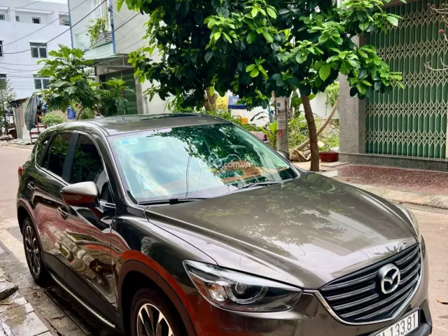 Ảnh số 4
