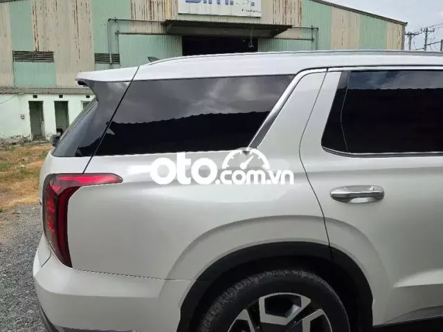 Hyundai Palisade 2024 - 20000 km