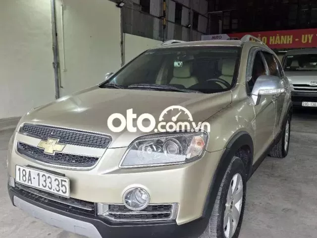 Màu vàng đang tìm chủ nhân mới
