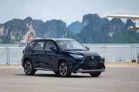 Giảm 50% Trước Bạ