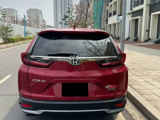 Ảnh số 4