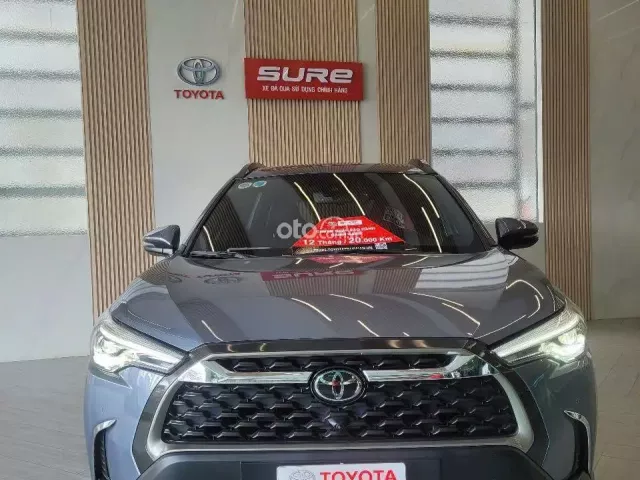 Nhập khẩu Thái Lan