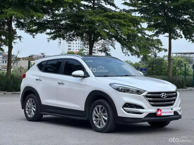 TRẮNG NGỌC TRINH – BIỂN HÀ NỘI