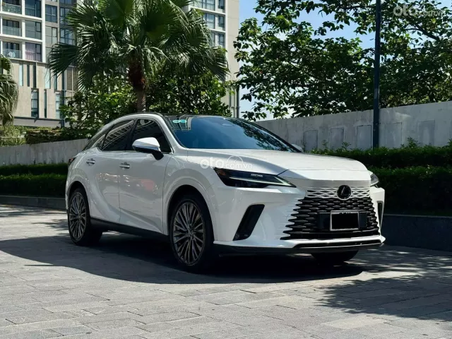Ảnh số 3