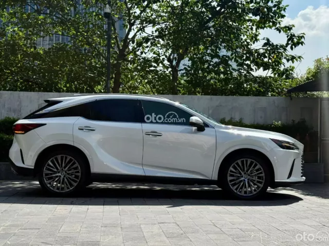 Ảnh số 5