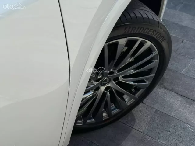 Ảnh số 15