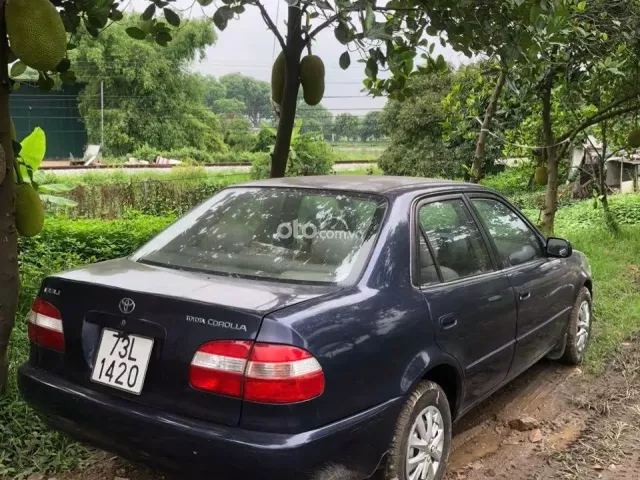 Ảnh số 4