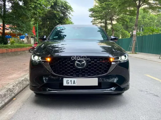 Sơn zin 98% bản 2.5 siêu hiếm
