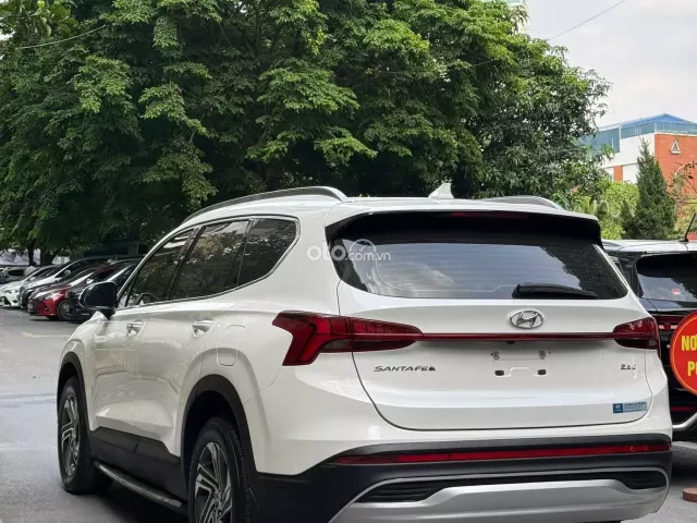 Ảnh số 14
