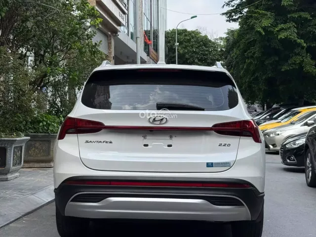 Ảnh số 12