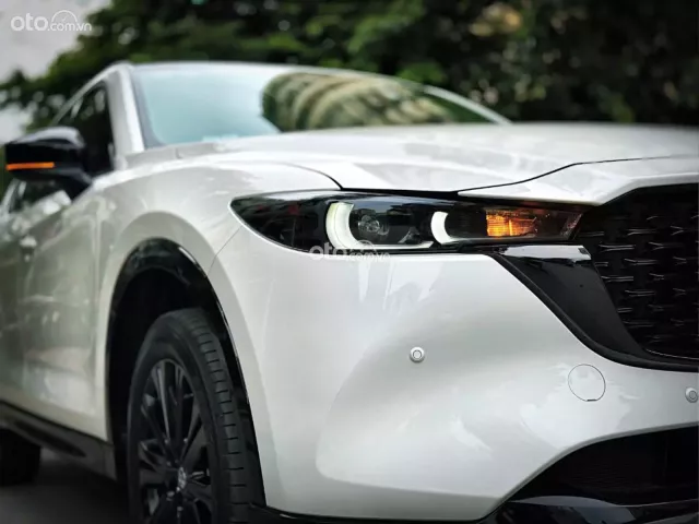 Mới đẹp xuất sắc