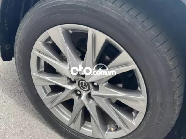 Ảnh số 12