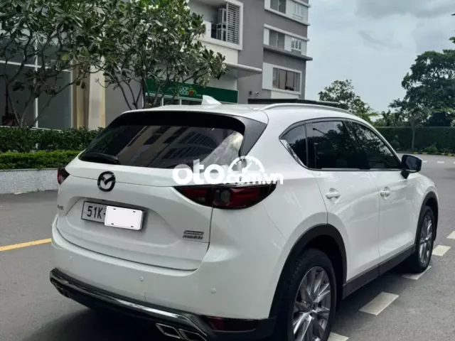 Ảnh số 9