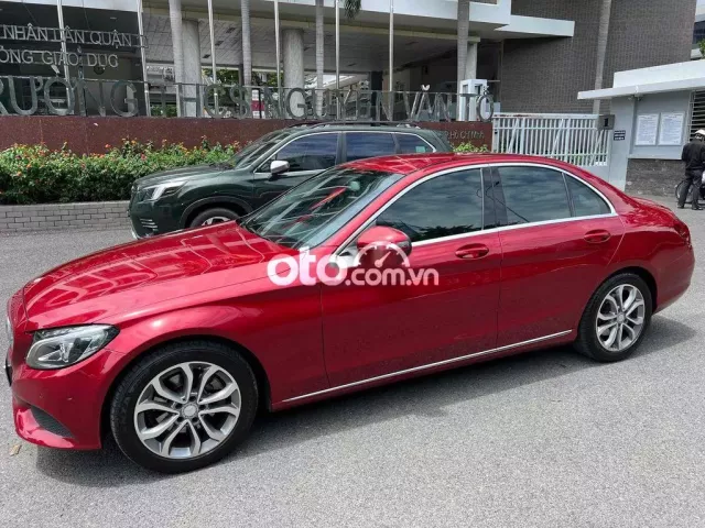 Ảnh số 9