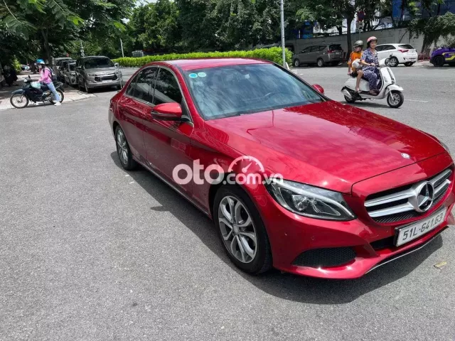 Ảnh số 7
