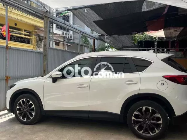 Ảnh số 2