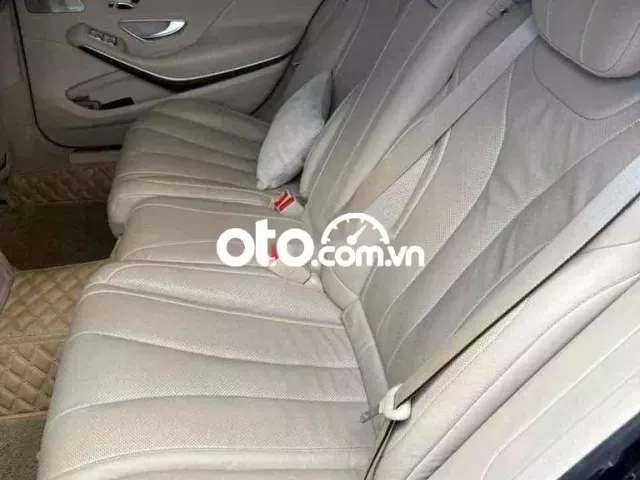 Ảnh số 5