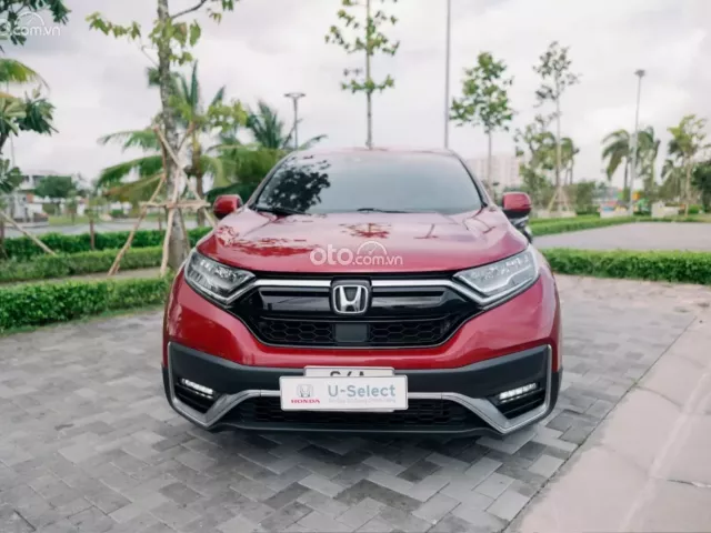 Ảnh số 4