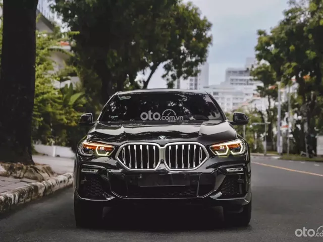 MỘT CHỦ TỪ ĐẦU NHẬP KHẨU