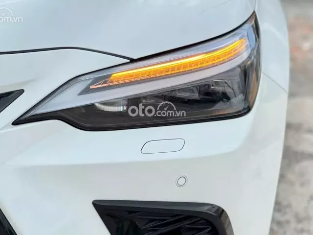 Lexus NX 350 2023 tại Bình Dương