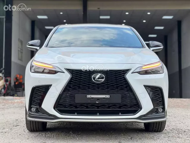 Lexus NX 350 2023 tại Bình Dương