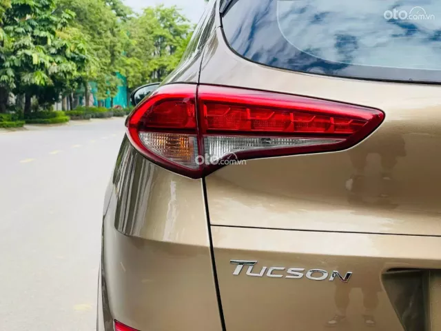 Xe không lỗi giá cực tốt