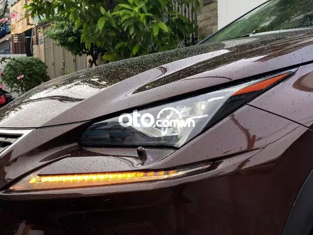 Lexus Nx300 cao cấp Thể Thao & Sang Trọng đk 2019
