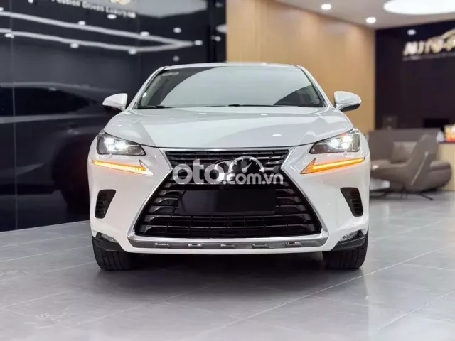Lexus NX300 2017 - Xe 1 Chủ Từ Đầu
