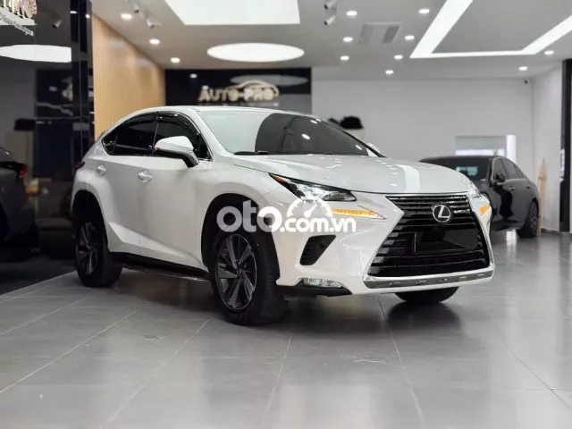 Lexus NX300 2017 - Xe 1 Chủ Từ Đầu
