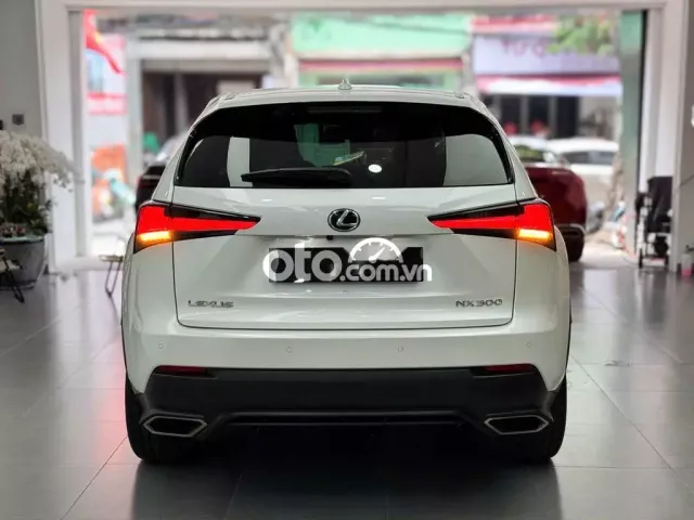 Lexus NX300 2017 - Xe 1 Chủ Từ Đầu