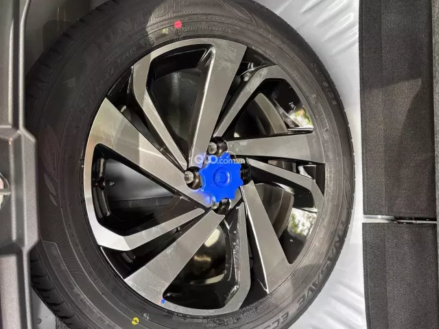 1 chủ, siêu lướt