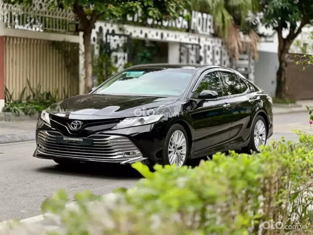 Xe của các sếp