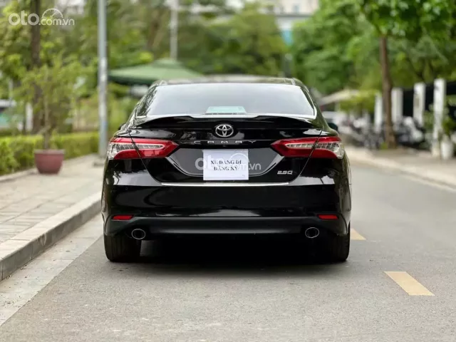 Xe của các sếp
