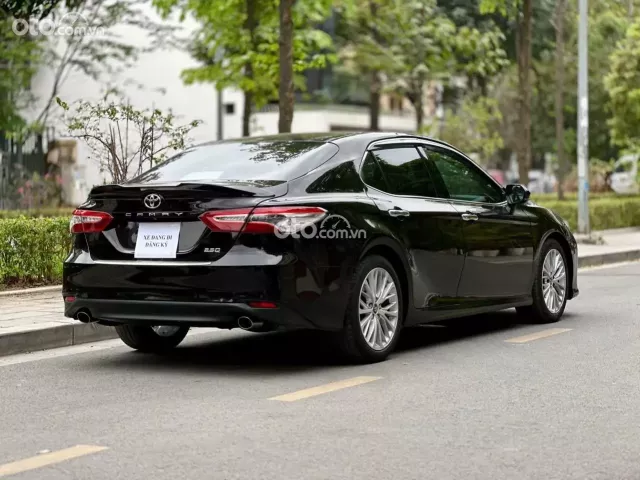 Xe của các sếp