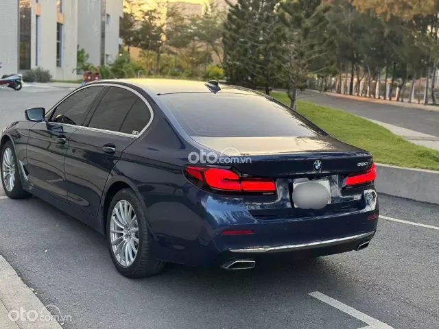BMW 520i Luxury Line 2021 3