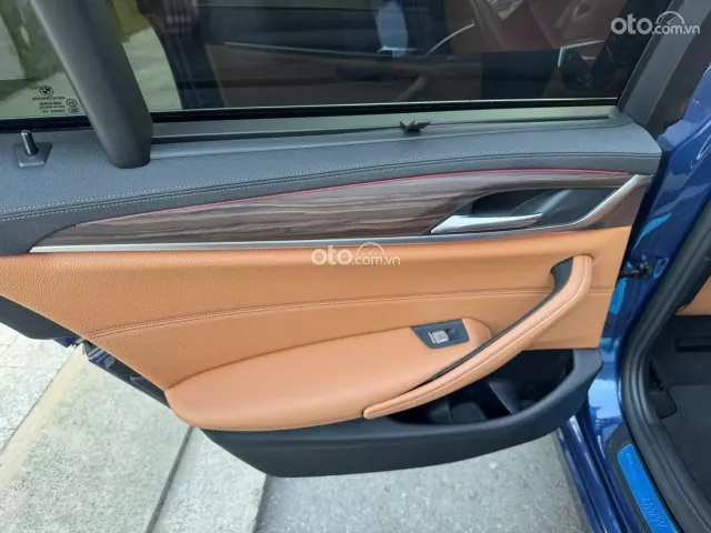 BMW 520i Luxury Line 2021 8