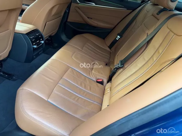 BMW 520i Luxury Line 2021 10