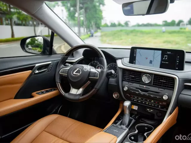 Lexus RX 300 2019 8