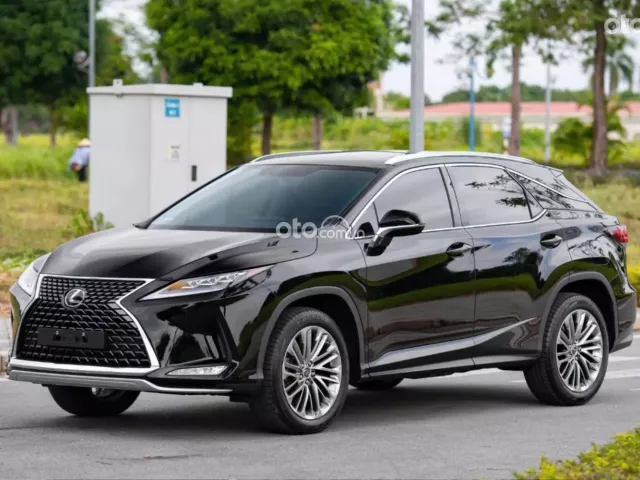 Lexus RX 300 2019 3