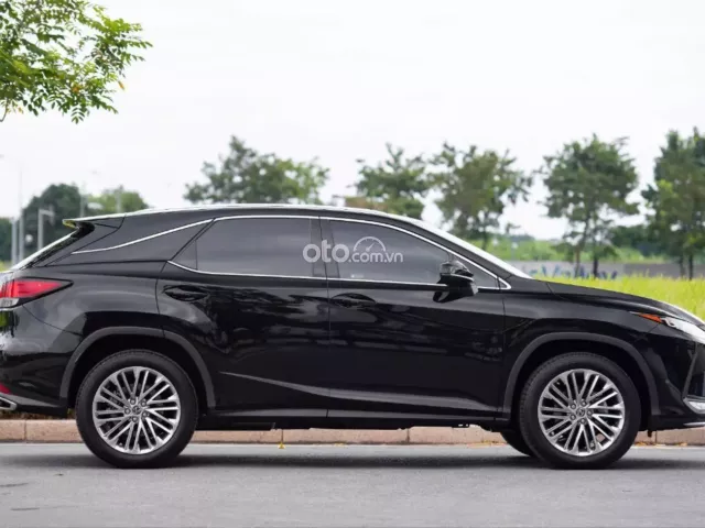 Lexus RX 300 2019 4