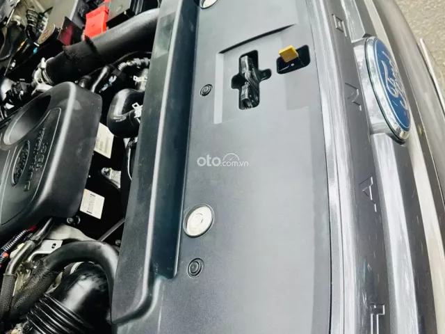 FORD RANGER WILDTRAK 3.2L AT SX 2025 NHẬP KHẨU